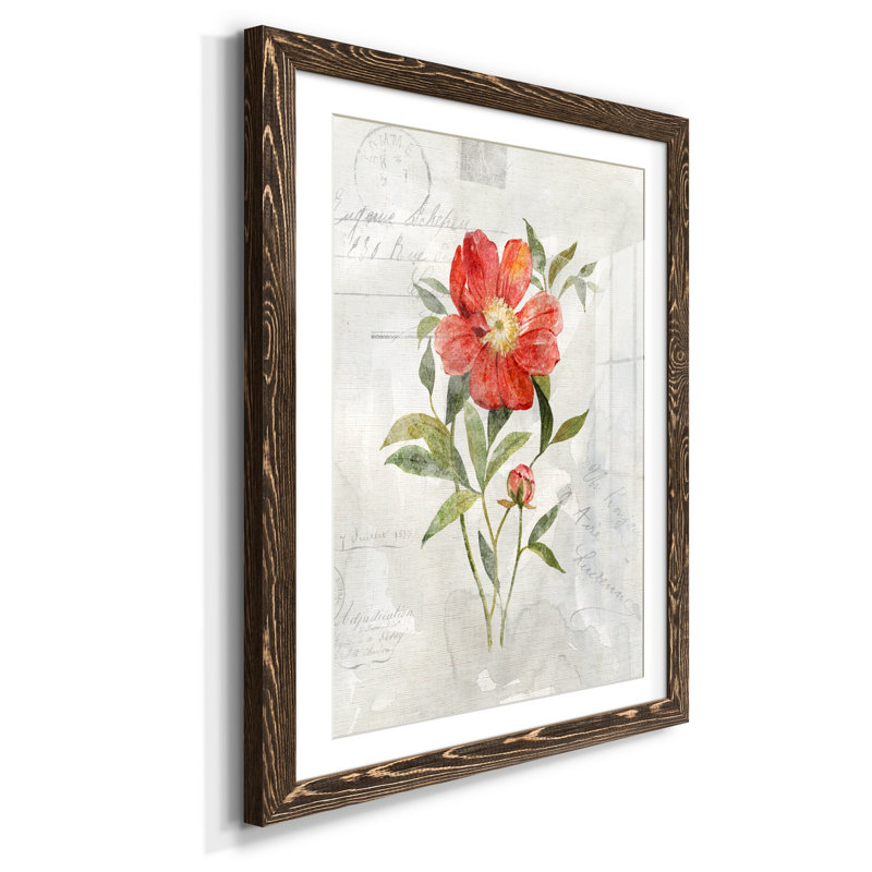 Lin pivoine - Reproduction d'art graphique sur papier encadré, Noyer, H 37,5 po x l 27,5 po x P 1,5 po