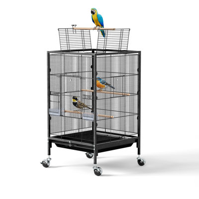 35in Wrought Iron Bird Cage With Open Top