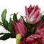 Plastic, Silk Artificial Arrangement-106401562