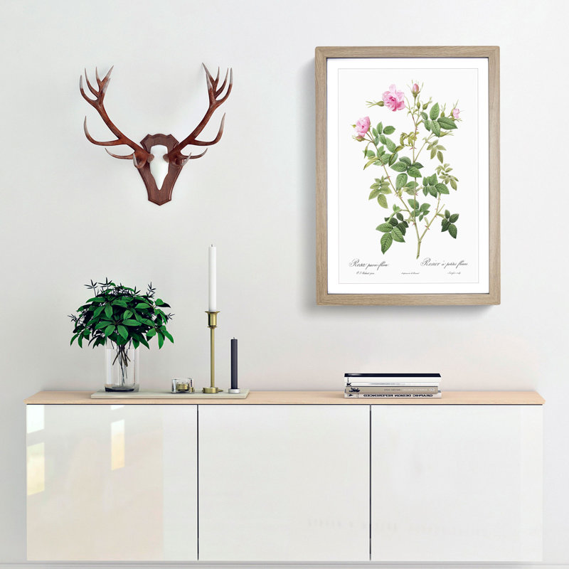 Wild Rose in Pink by Pierre-Joseph Redoute - Picture Frame Painting Print, 48cm H x 36cm W x 2cm D, Oak Framed