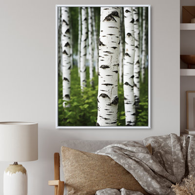 White Green Birch Tree Whispers III - Tree Birch Large Wall Art