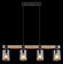 Aneth 4 - Light Black Linear Pendant
