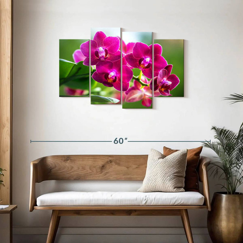 Harnek Pink Moth Orchid Blooms
