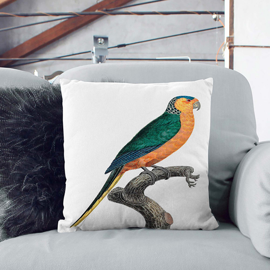 Fronted Parakeet by F. Levaillant Cushion with Filling