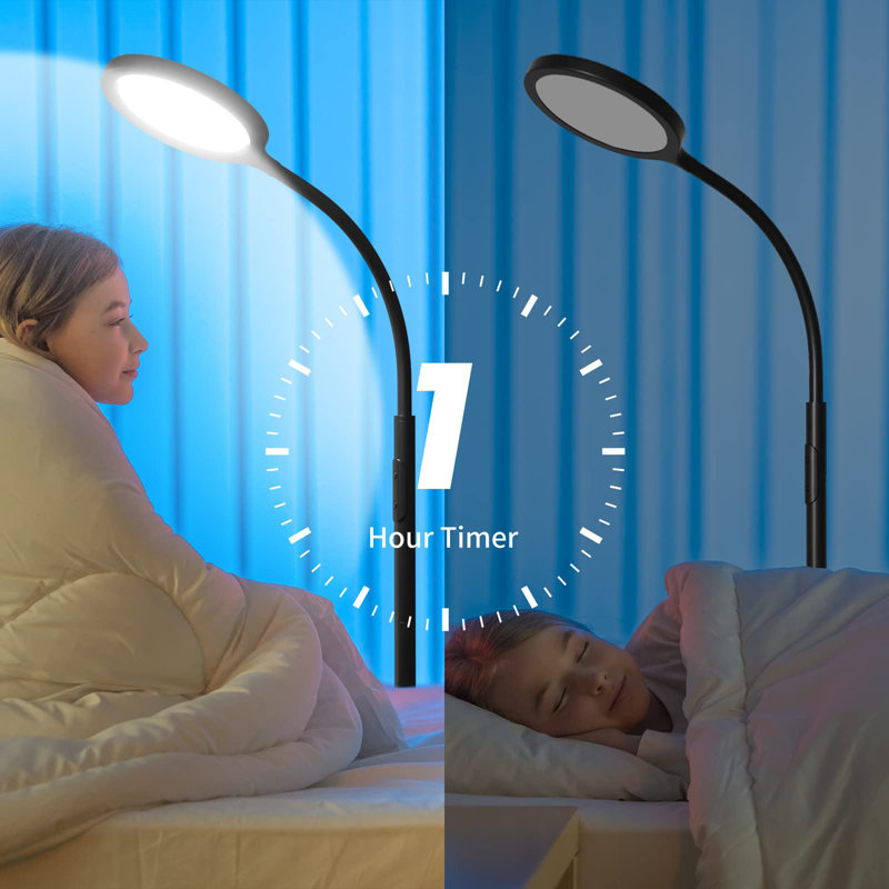 Floor Lamp for Living Room, Black