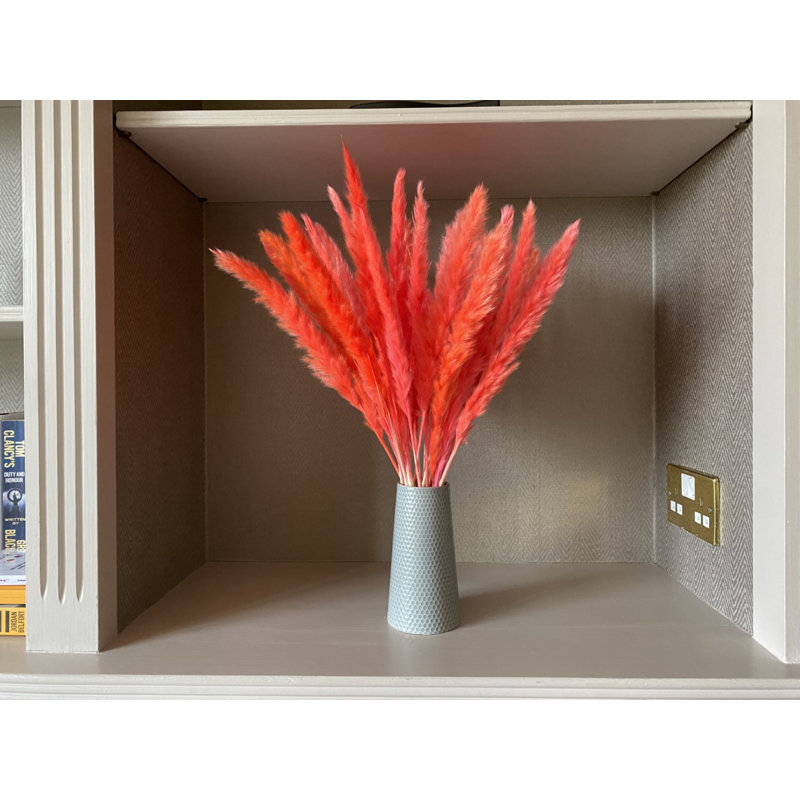 Pampas Grass Arrangement, 60cm H x 5cm W x 5cm D, Red