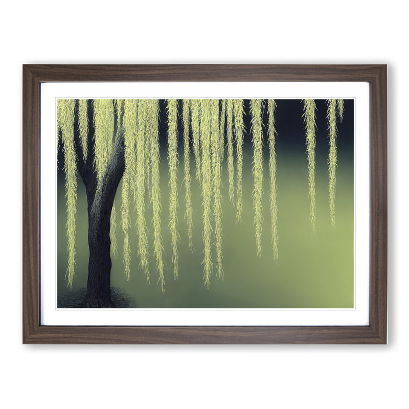Bold Weeping Willow Tree - Single Picture Frame Print, 46cm H x 64cm W x 2cm D, Walnut Framed