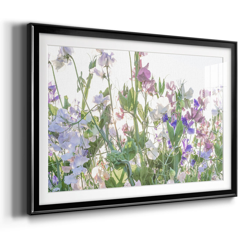 " Fields Of Spring ", Black, 19" H x 27" W x 1.5" D