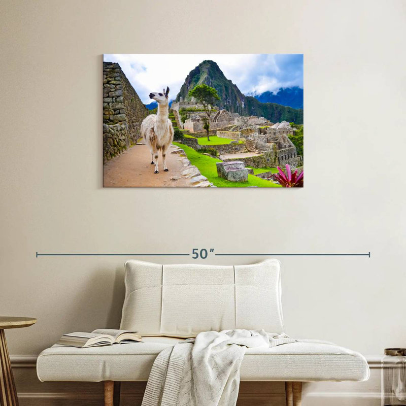 Brampt Peru Llama, 34" H x 51" W
