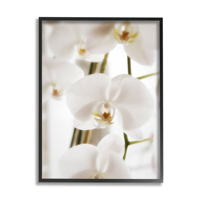 Élégants pétales d'orchidées blanches par Savanah Plank - Photographie à cadre flottant sur bois