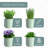 Indoor Herb Garden Planter Set with Tray-1273218294