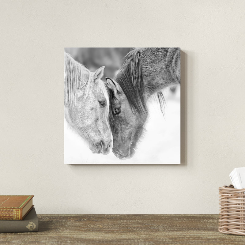 "B&W Horses VII" par PHBurchett, impression sur toile, H 12 po x l 12 po, Toile tendue, Sans cadre