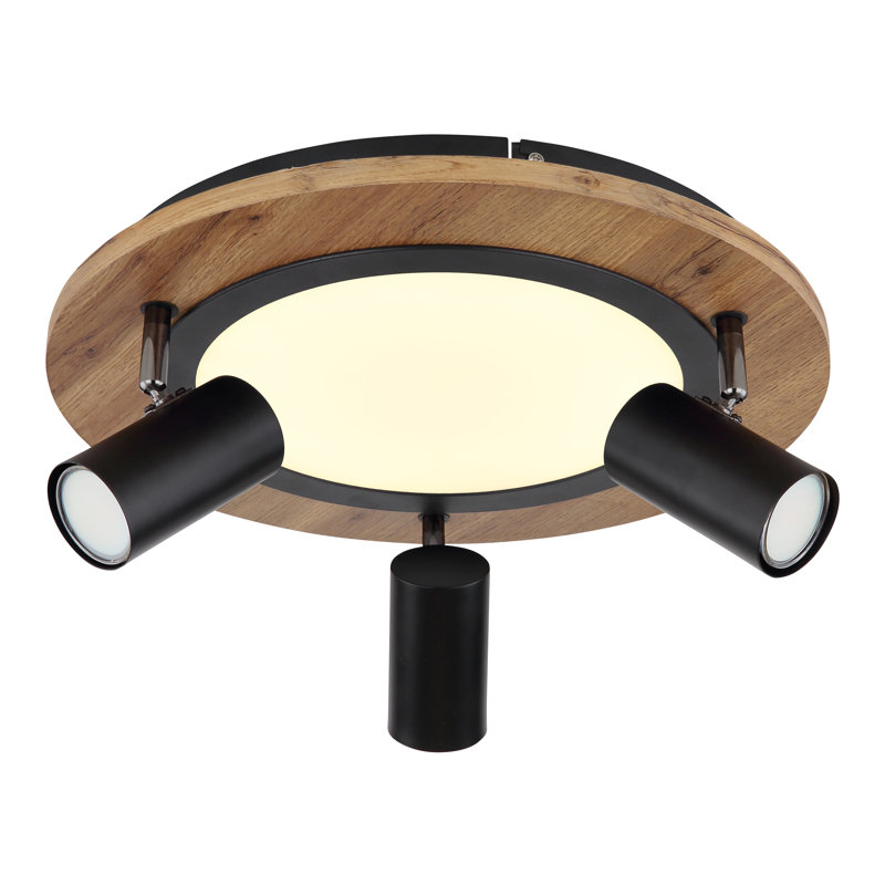 Neydelin LED Spotlight