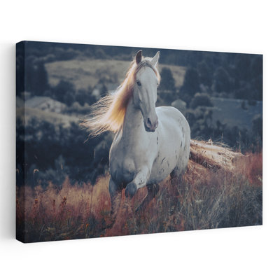 «Majestic Horse Golden Sunset Contemporary Horse», art mural