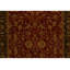 Wool Oriental Area Rug in Red/Green