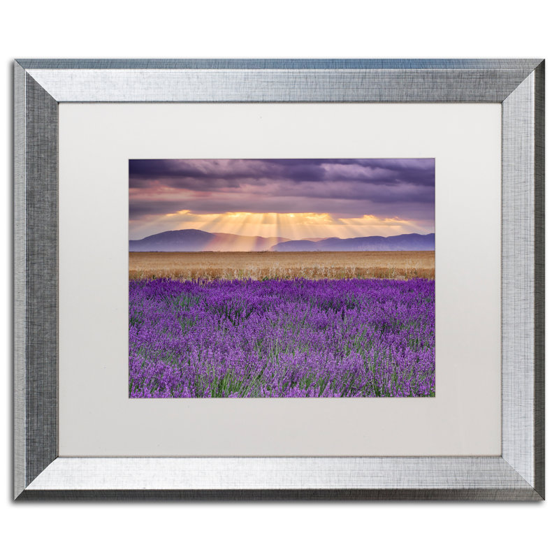 « lavandest », reproduction de photo sur toile encadrée, H 16 po x l 20 po x P 0,5 po, Blanc