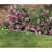3.75'' H x 35'' W Flagstone Resin