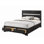 Queen Platform Bed with Storage Drawers, Shimmering Silver Accent, and Black Silver Finish in Solid Wood