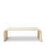Shagreen Coffee Table