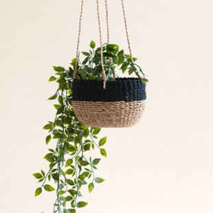 Round Hanging Planter