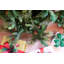 Lighted Artificial Christmas Tree-7979387