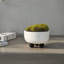 Round Marble Resin Bowl With Ball Feet