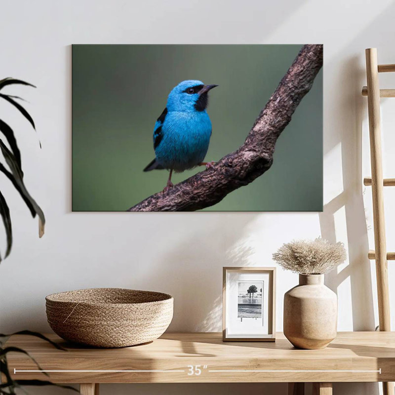 Brampt Vivid Blue Bird, 16" H x 24" W