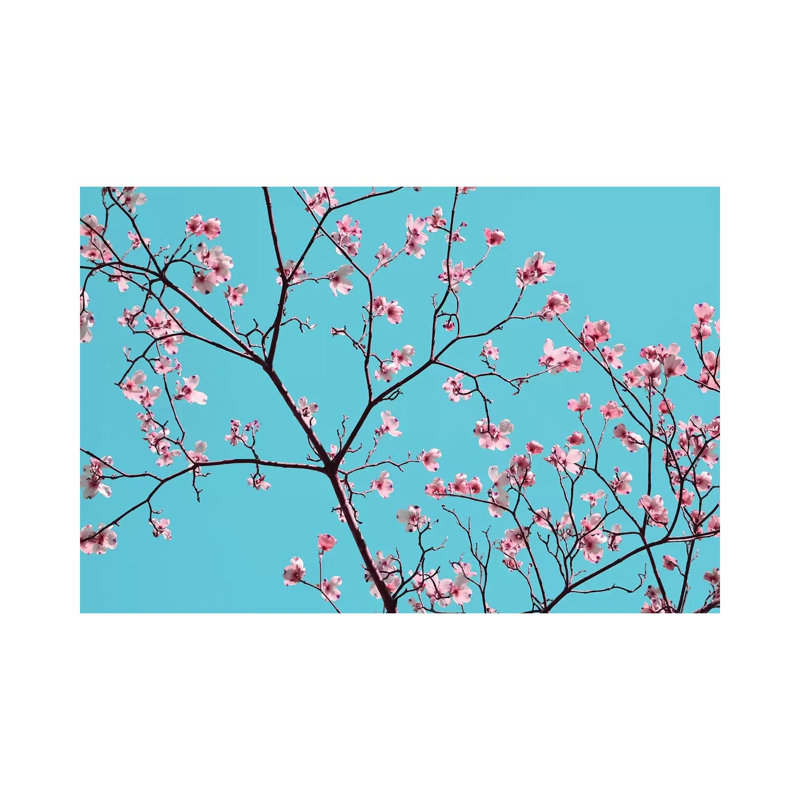 Petals & Sky IV 1 Piece Wrapped Canvas Wall Art, 30.48 cm H x 45.72 cm W