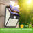 LED Solar Power Dusk to Dawn Outdoor Security Wall Pack with Motion Sensor (pack of 6)
