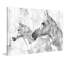 Skydancer - Reproduction d'art sur toile tendue-591422413