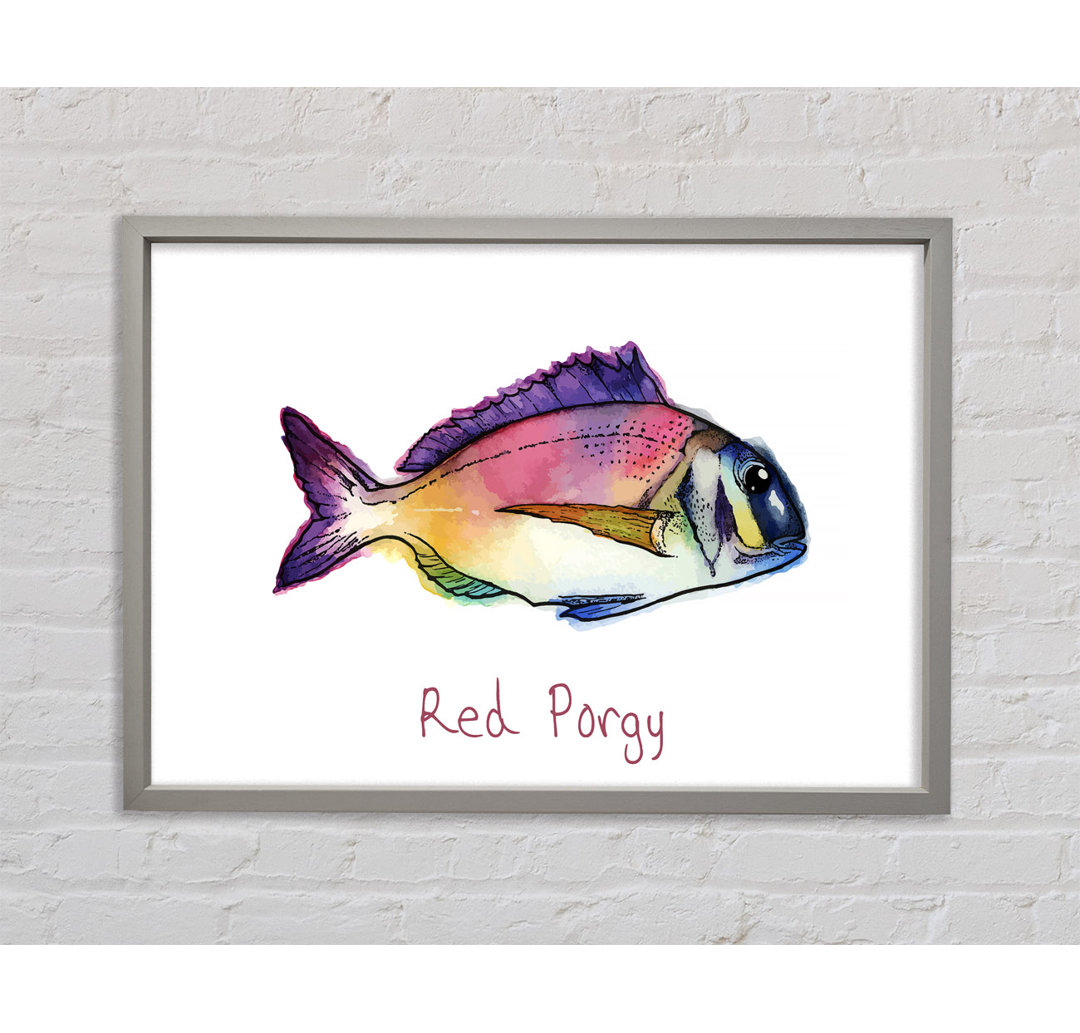 Red Porgy Rainbow - Einzelner Bilderrahmen Kunstdrucke auf Leinwand