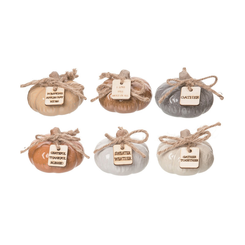  Terracotta 10,75 po. Ensemble de 6 citrouilles rustiques avec étiquette