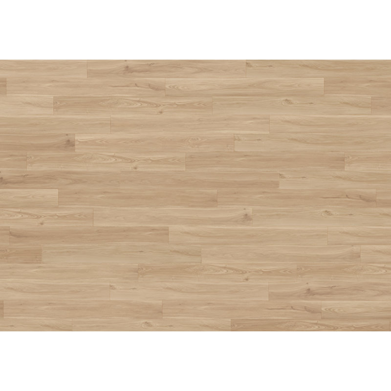 Planche en vinyle de luxe NEUF ADURA®Rigid avec Microban® Noble Oak 7 po x 60 po x 5,5 mm en feuille sèche avec couche d'usure de 20 mil