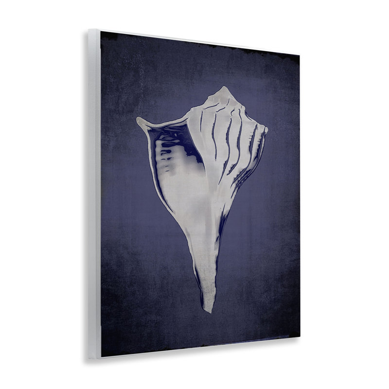  Lightning Whelk on Indigo Wall Plaque Art by Graffi*tee Studios