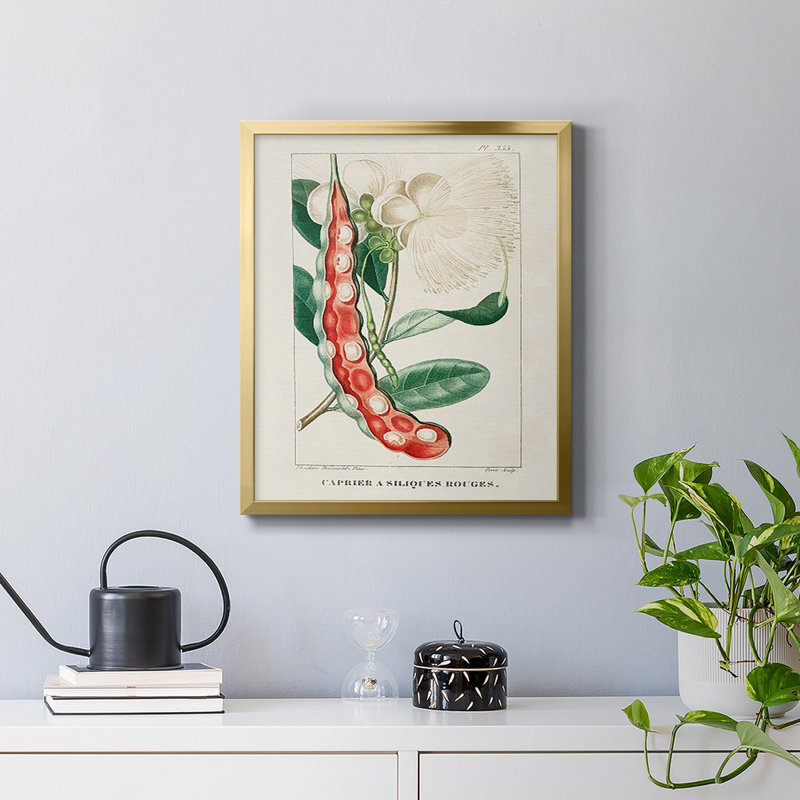 Toile encadrée Turpin Tropical Botanicals, Or, H 24 po x l 20 po