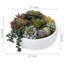 Fausse plante grasse en pot 4,3 po