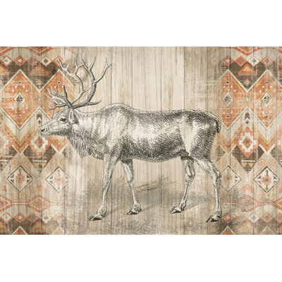 Natural History Lodge Southwest IX - Wrapped Canvas Print