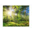 No Frame Print on Canvas-352178911