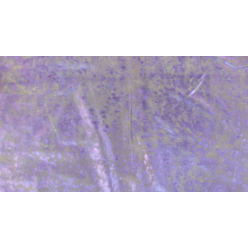 Stephens Animal Print Cowhide 160cm X 220cm Area Rug