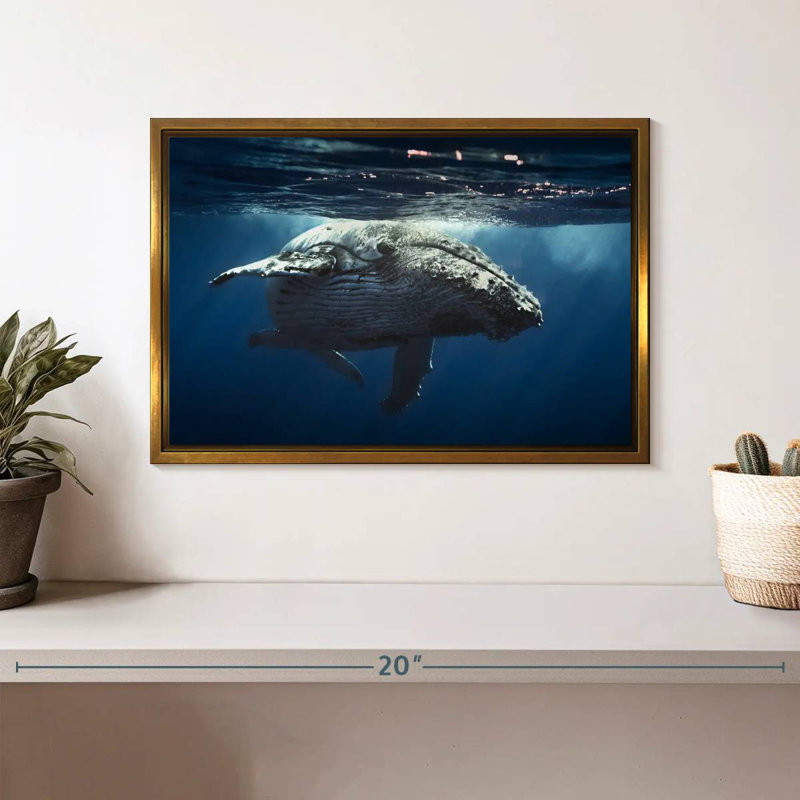 Baleine écumante, Cadre flottant doré, 13 po x 9 po