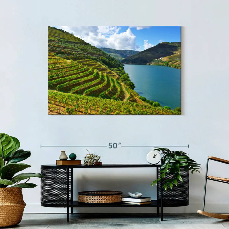 Douro, vallée de la vigne, H 30 po x l 45 po