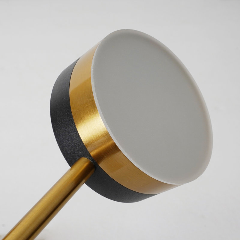 LED Ceiling Light Black Ceiling Light with Remote Modern Ceiling