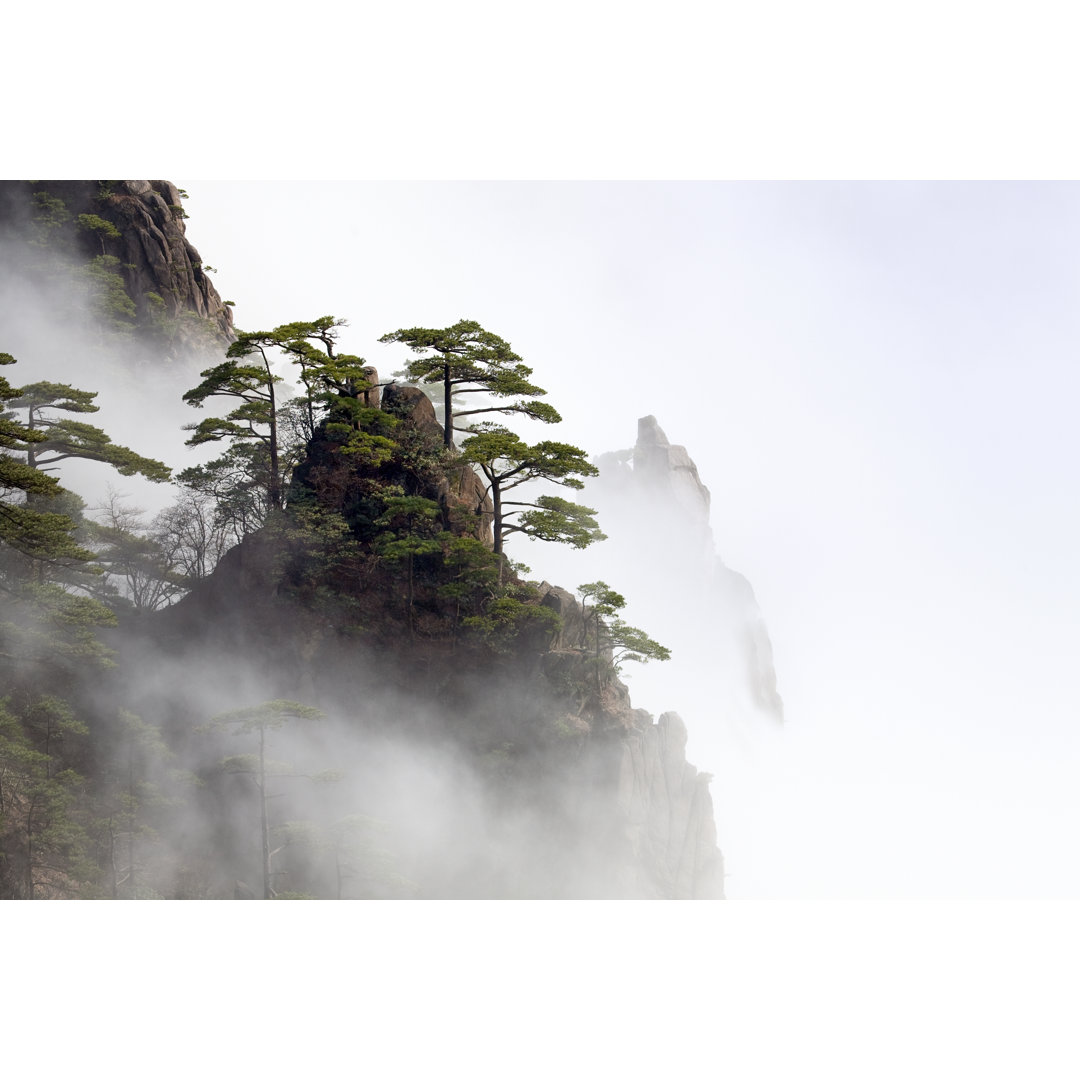 Schönheit in der Natur von KingWu - Druck auf Leinwand ohne Rahmen