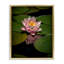 Cadre flottant rose lotus parmi des nénuphars, design par Phillip Flowers-1664758267-1664758260