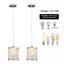 Luminaire suspendu 1 lumière (ensemble de 2)