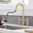 PROOX Pull Out Kitchen Faucet-84505205