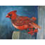 Ensemble de 4 napperons en polyester tressé - motif oiseau rouge