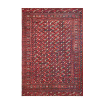 Vintage Look Digitally Printed Area Rug