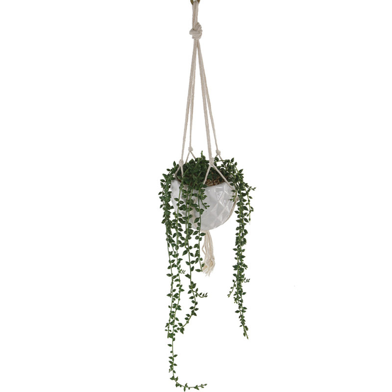 1-pièce de plante grasse artificielle en pot, H 12 po x l 4 po x P 4 po