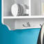 Lamson Wall 5 - Hook Wall Mounted Coat Rack